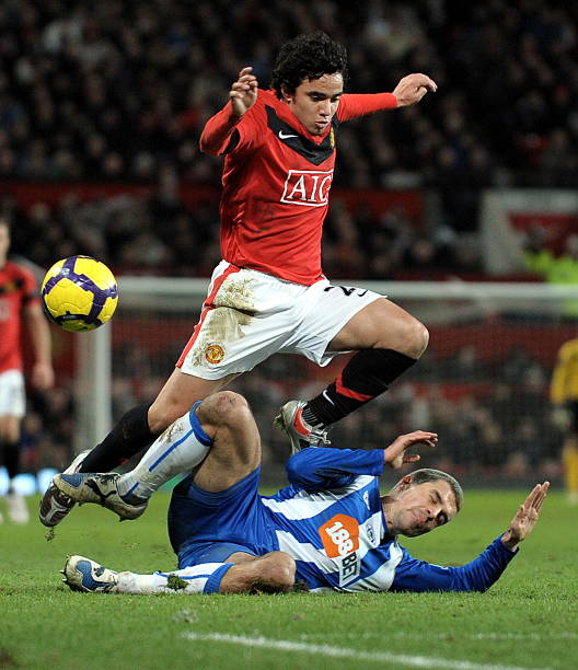 绿色亚冬的 绿色亚冬的